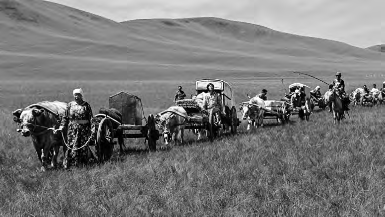 Several herding families jointly migrate from one pasture to another; young members among them on horseback escort all the way. 