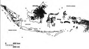 a map of indoensia showing rain forests on the islands