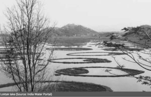 Image of the water floods the plants on the ground 