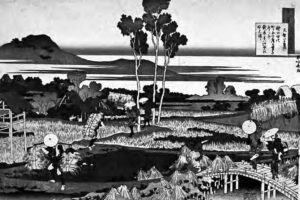 an illustration of people tending to rice paddies 