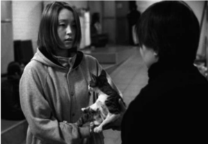 Screen capture shows a woman holding a cat and talking with another woman.
