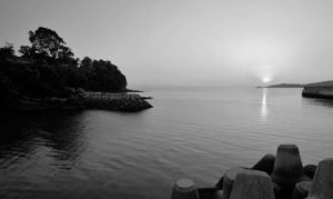 Sunset over water, with some trees bordering the water.